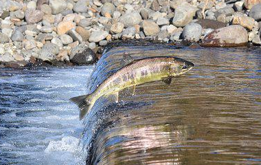 开云平台网站皇马赞助商| 开云平台官方ac米兰赞助商 最新官网入口