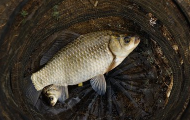 开云平台网站皇马赞助商| 开云平台官方ac米兰赞助商 最新官网入口