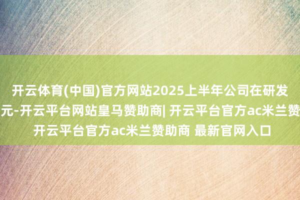 开云体育(中国)官方网站2025上半年公司在研发方面插足了1.34亿元-开云平台网站皇马赞助商| 开云平台官方ac米兰赞助商 最新官网入口