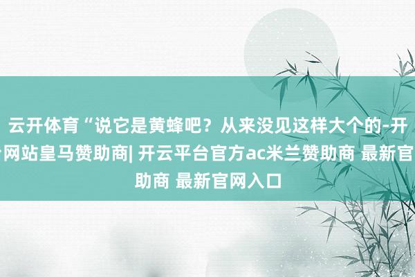 云开体育“说它是黄蜂吧？从来没见这样大个的-开云平台网站皇马赞助商| 开云平台官方ac米兰赞助商 最新官网入口