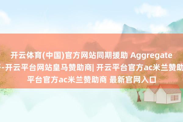 开云体育(中国)官方网站同期援助 Aggregate Key 团员表模子-开云平台网站皇马赞助商| 开云平台官方ac米兰赞助商 最新官网入口